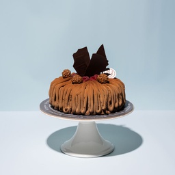Chocolate swiss roll with raspberry