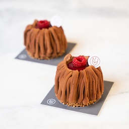 Chocolate roll cake with raspberry (s)